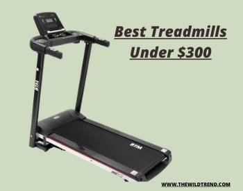 Best Treadmills under 300