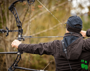 Best Compound Bow Under $500 - Wild Trend