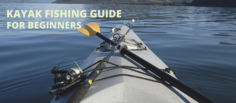 Kayak Fishing for Beginners: Everything You Need to Know