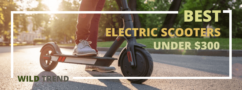 Best Budget Electric Scooter Under $300 Buying Guide