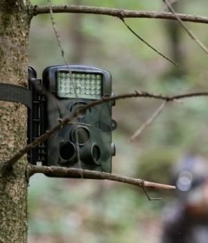 Best Trail Cameras Under $50
