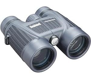 Bushnell H2O 10×42