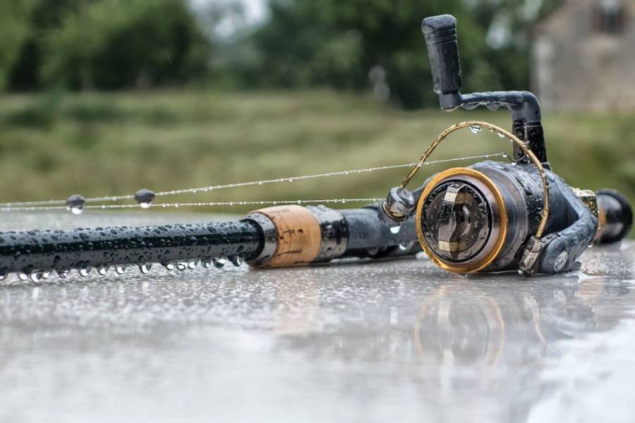 Rods and Lures for Rain Fishing
