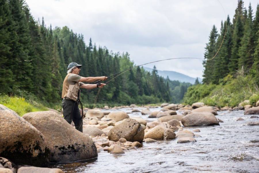 Best Fly Fishing Rods of 2023 | Wild Trend