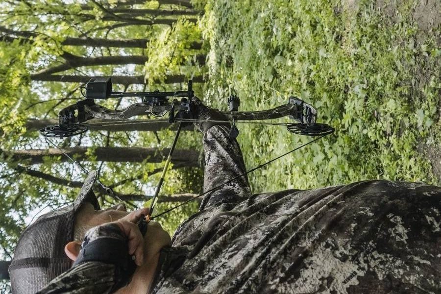 Best Bow Releases for Hunting and Accuracy