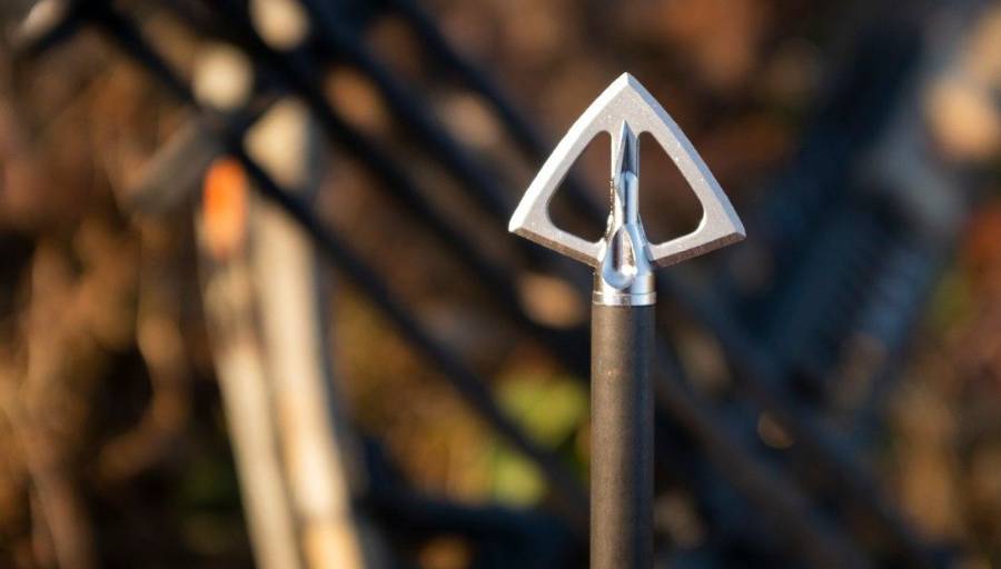 Best Fixed Blade Broadheads (2024) Wild Trend