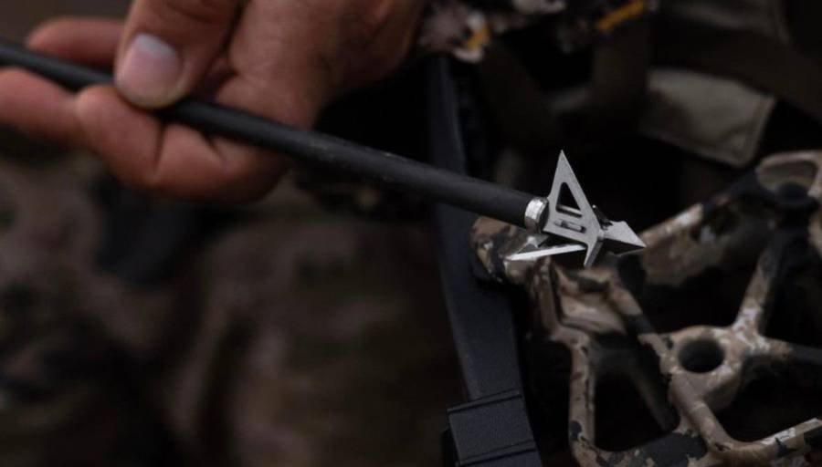 Best Fixed Blade Broadheads - Buying Guide