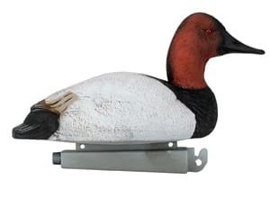 Flight Canvasback