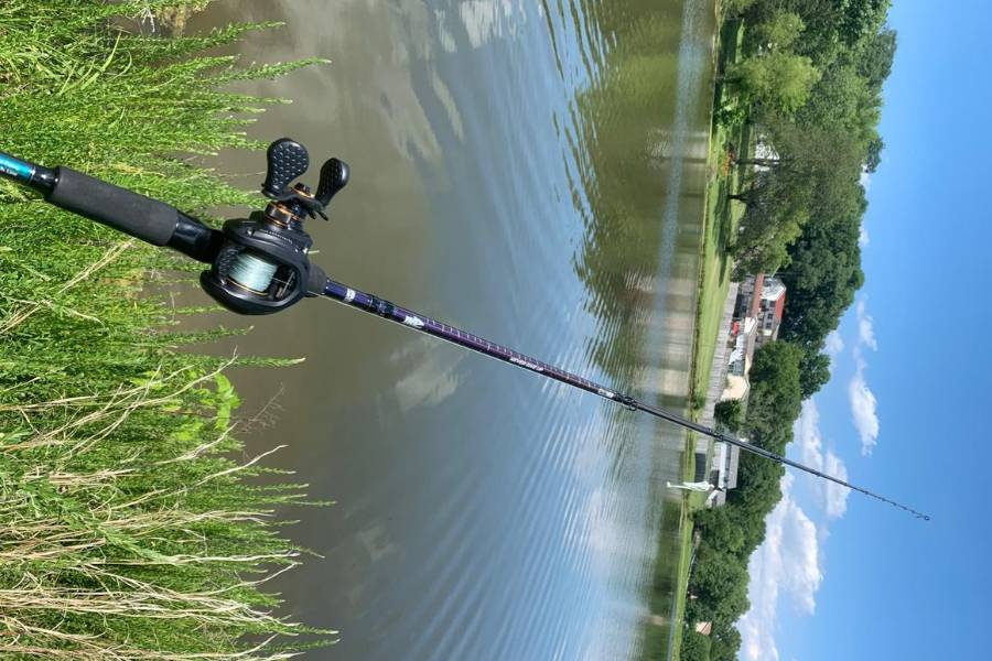 Best Baitcasting Rods for Bass in 2024 - Wild Trend