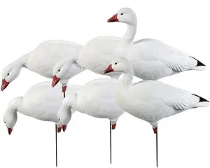 Avery Pro-Grade Full Body