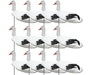 White Rock Decoys