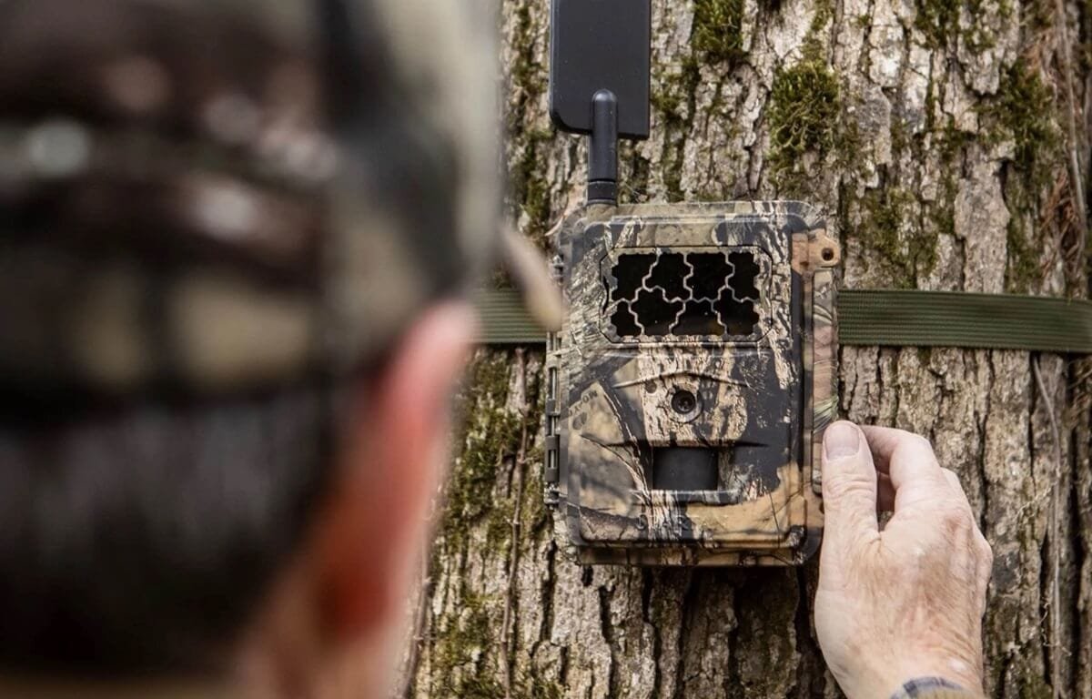 Trail Camera Placements for Big Buck