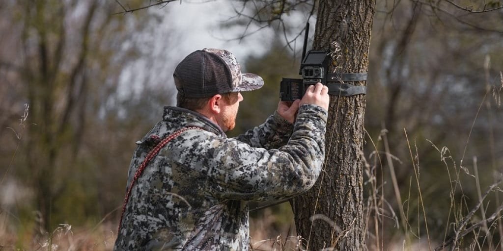 Trail Camera Tips for Better Shots