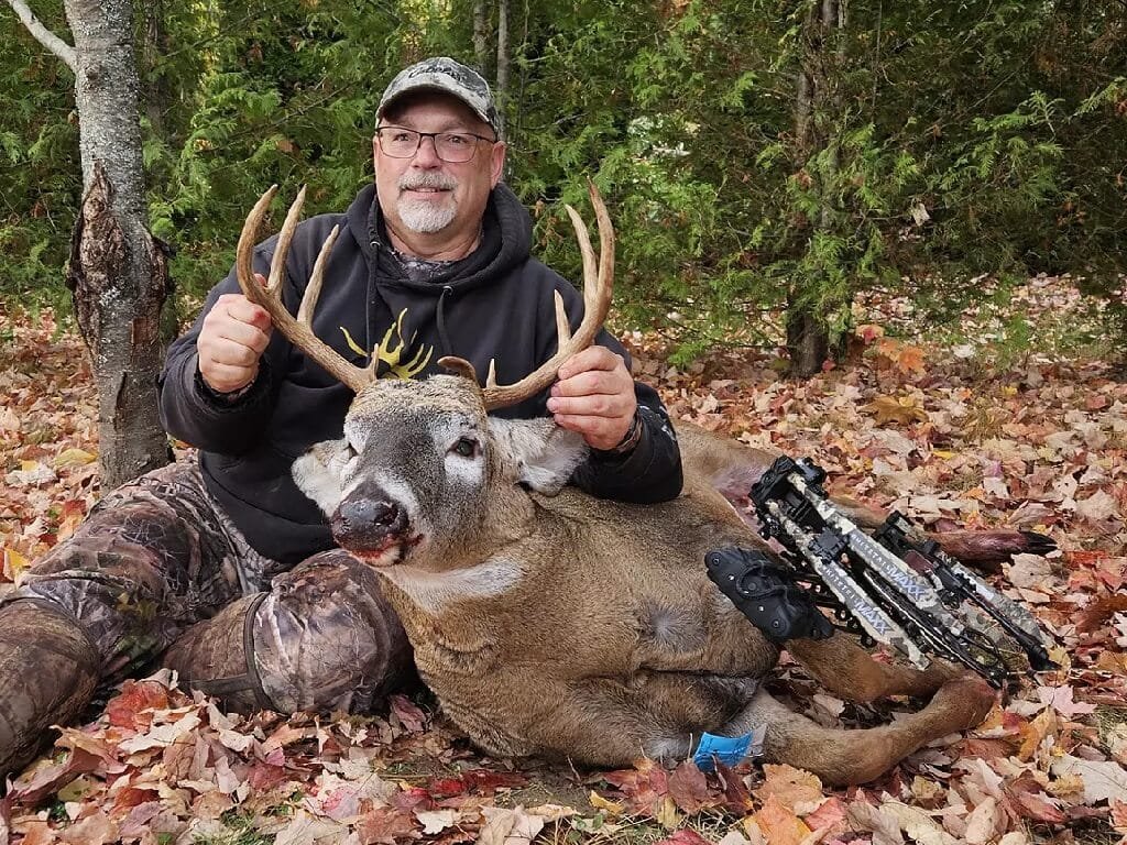 Bear Archery Whitetail INT RTH Bow Field Performance